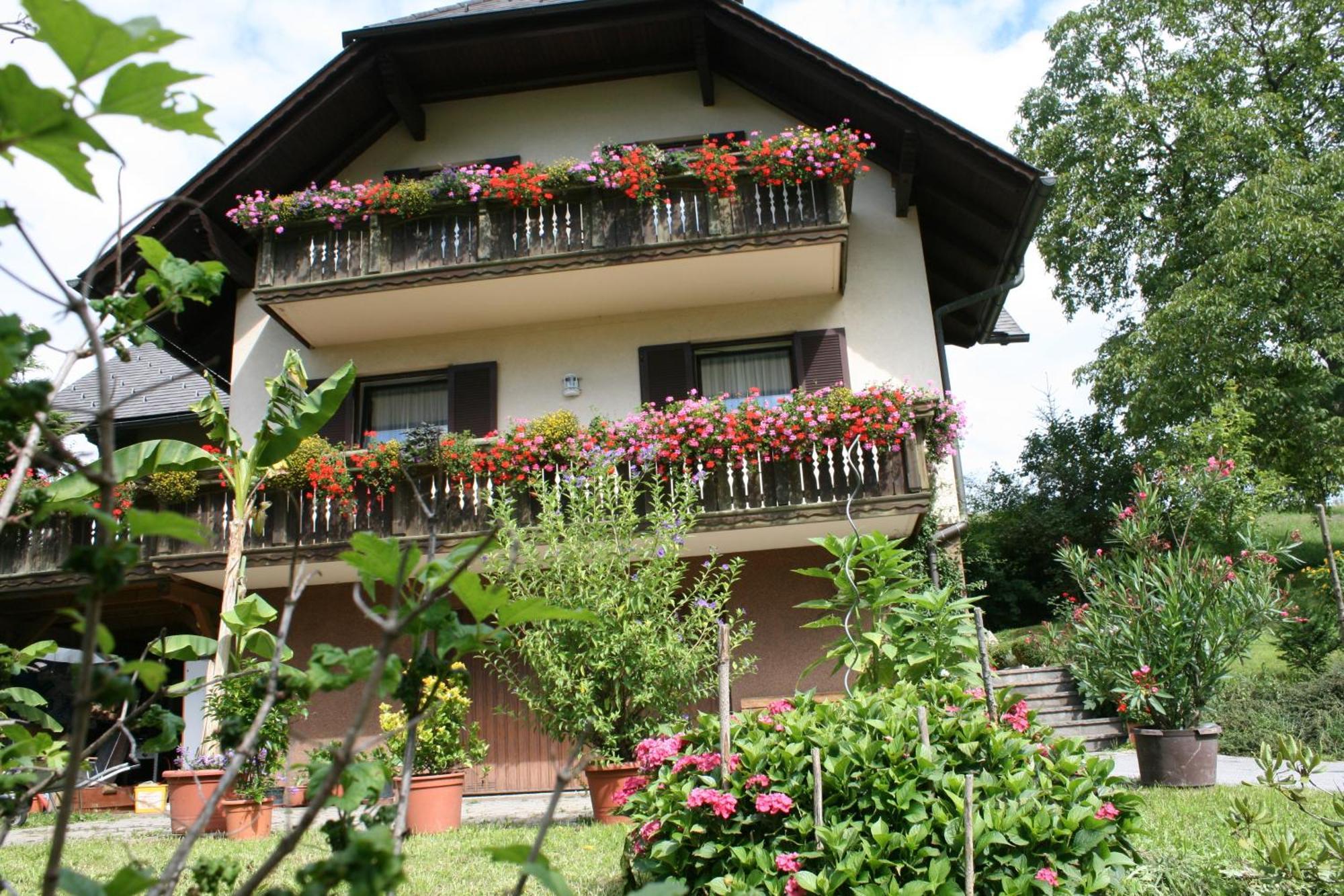 Gasthaus - Gaestehaus Schusterbauer Rein Exterior foto